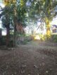 Prime 15.5 Perch House with Land in Dehiwala Sale