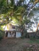 Prime 15.5 Perch House with Land in Dehiwala Sale