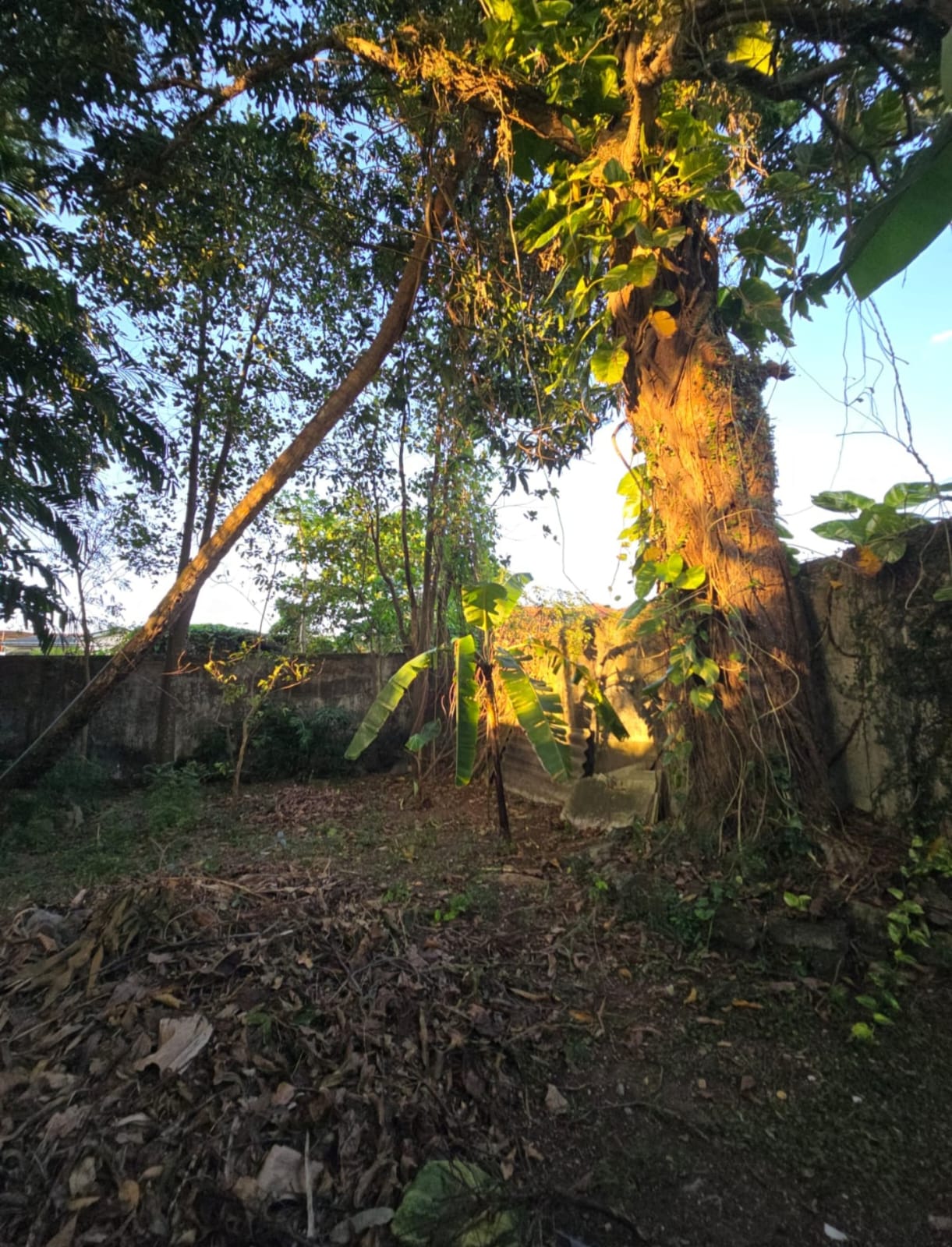 Prime 15.5 Perch House with Land in Dehiwala Sale