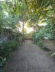 Prime 15.5 Perch House with Land in Dehiwala Sale