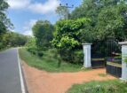 Land with House for Sale -කලාවැව