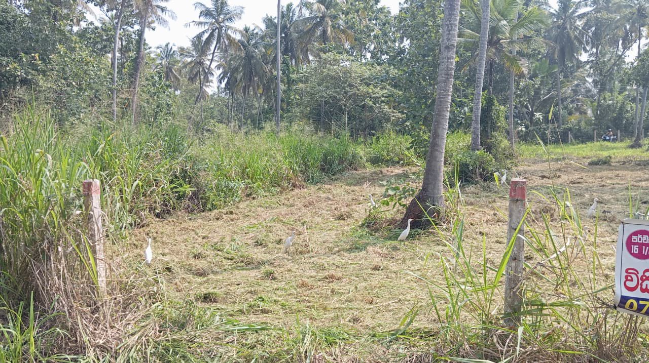 16.5-PERCH LAND FOR SALE IN WARIYAPOLA