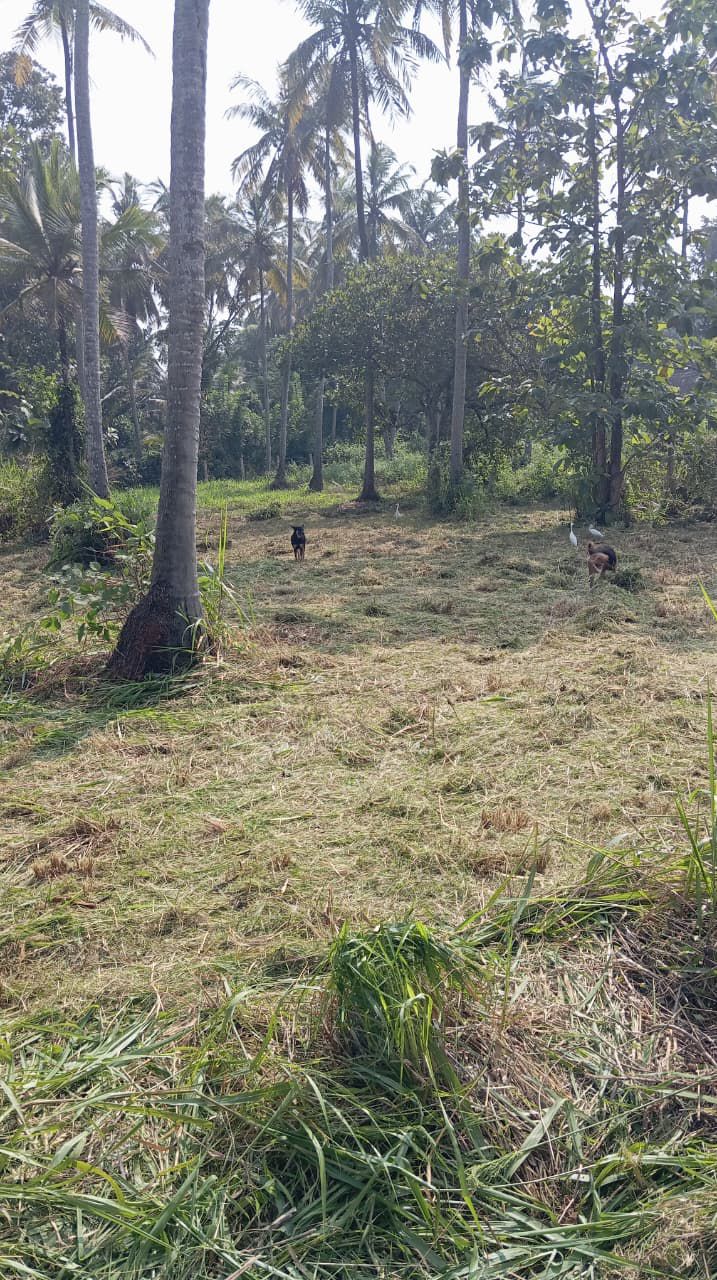 16.5-PERCH LAND FOR SALE IN WARIYAPOLA