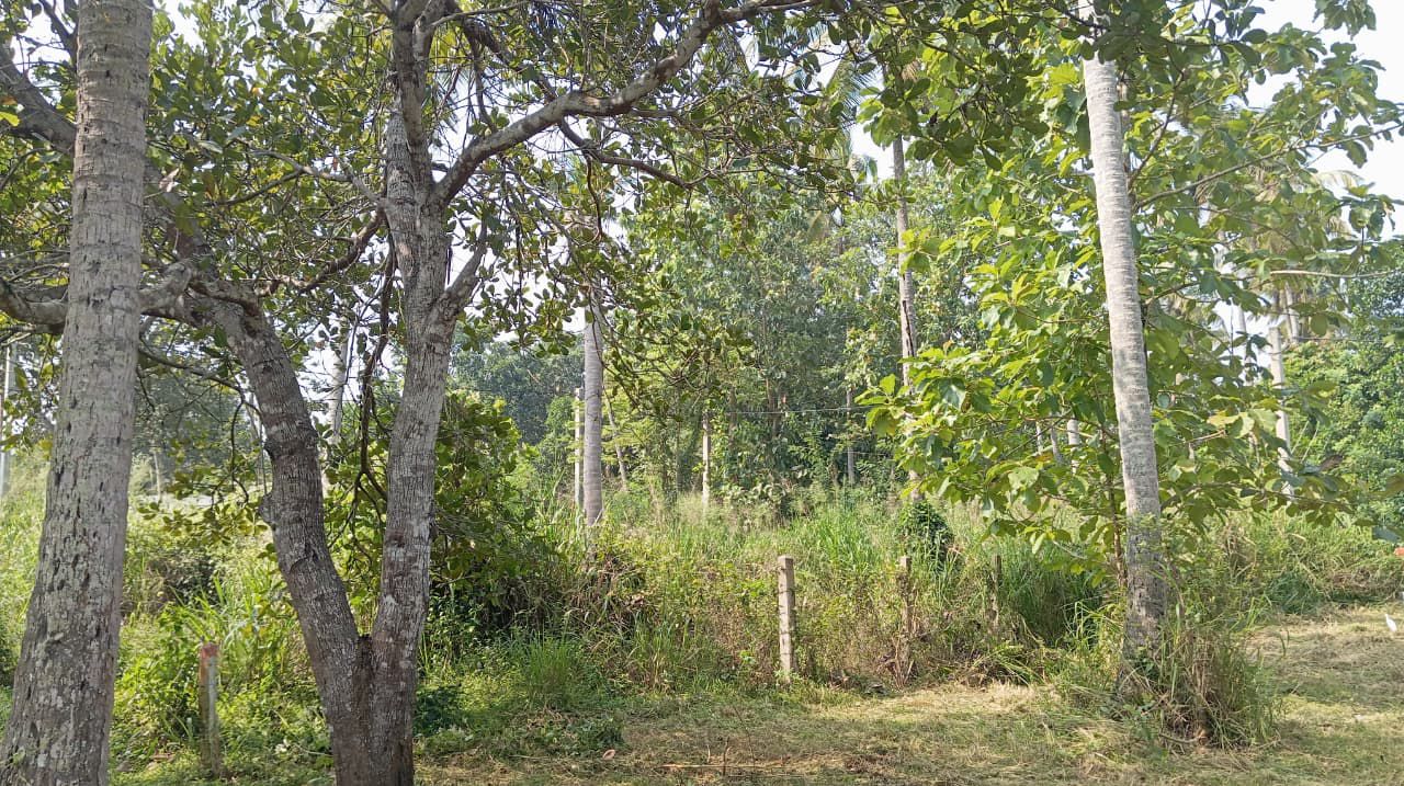 16.5-PERCH LAND FOR SALE IN WARIYAPOLA