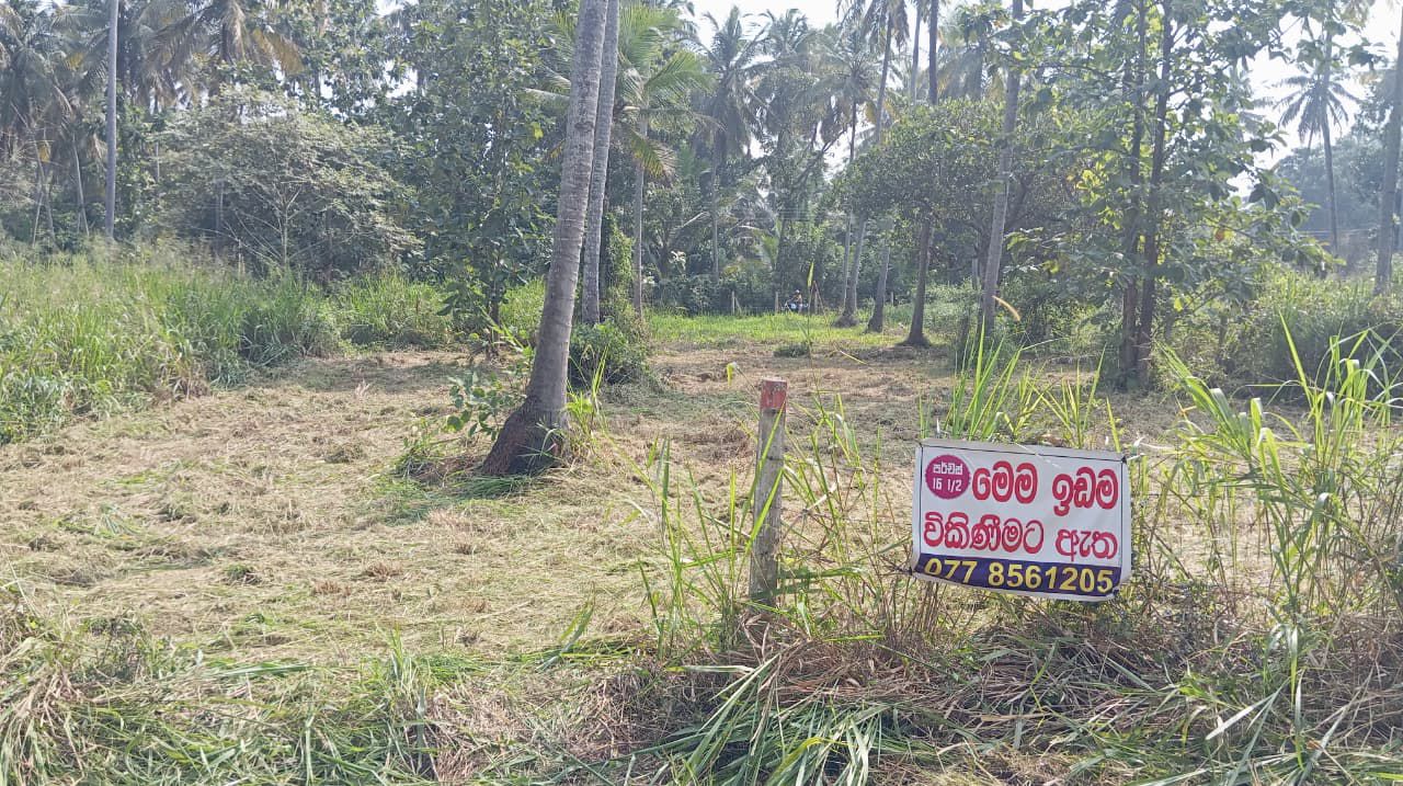 16.5-PERCH LAND FOR SALE IN WARIYAPOLA