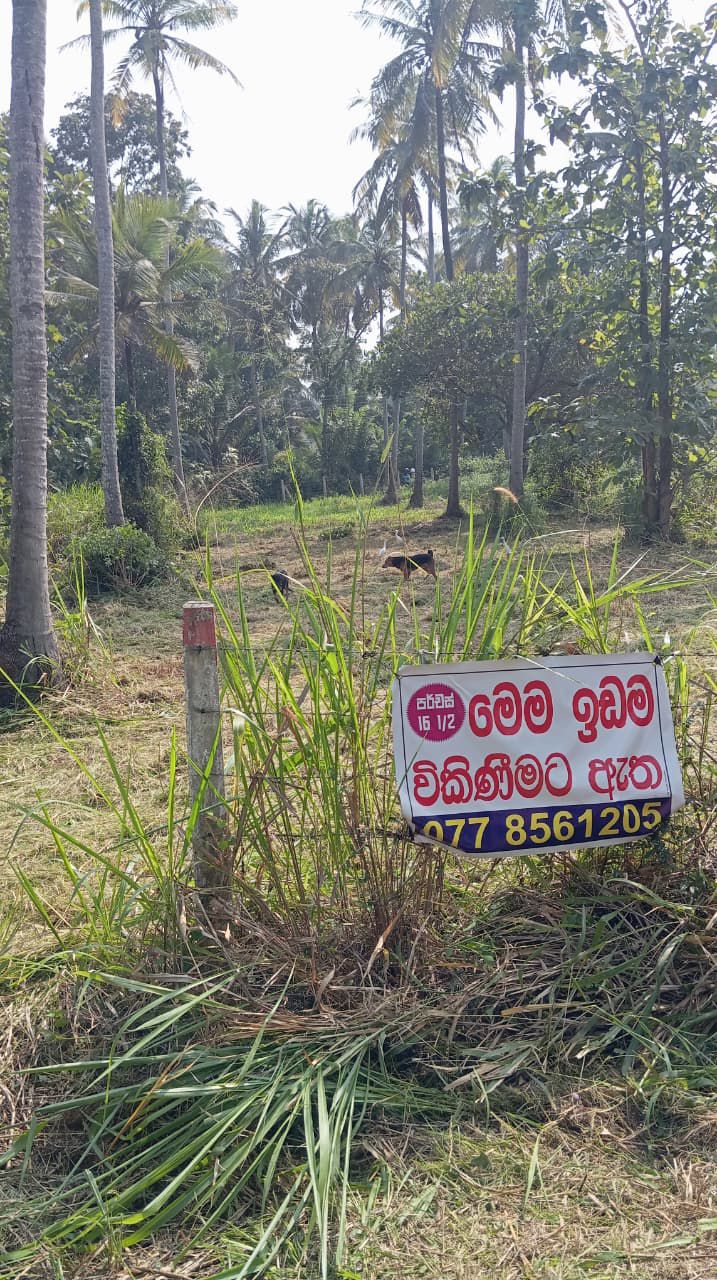 16.5-PERCH LAND FOR SALE IN WARIYAPOLA