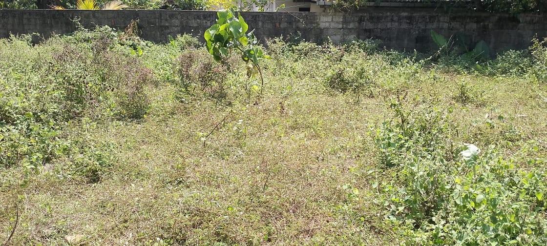 Land for Sale Dangedara, Infront of UKG Mahagedara