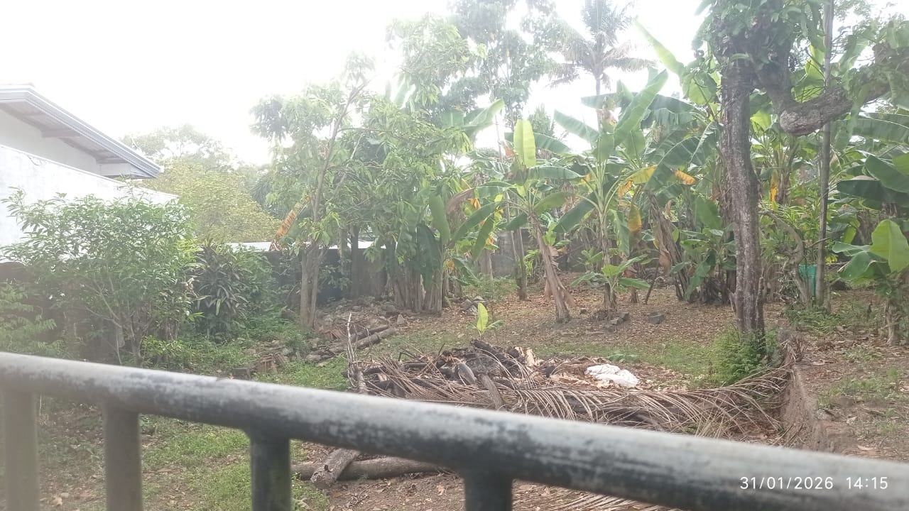 Land for Sale in Nawala