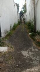 WhatsApp-Image-2026-02-28-at-18.28.02-2