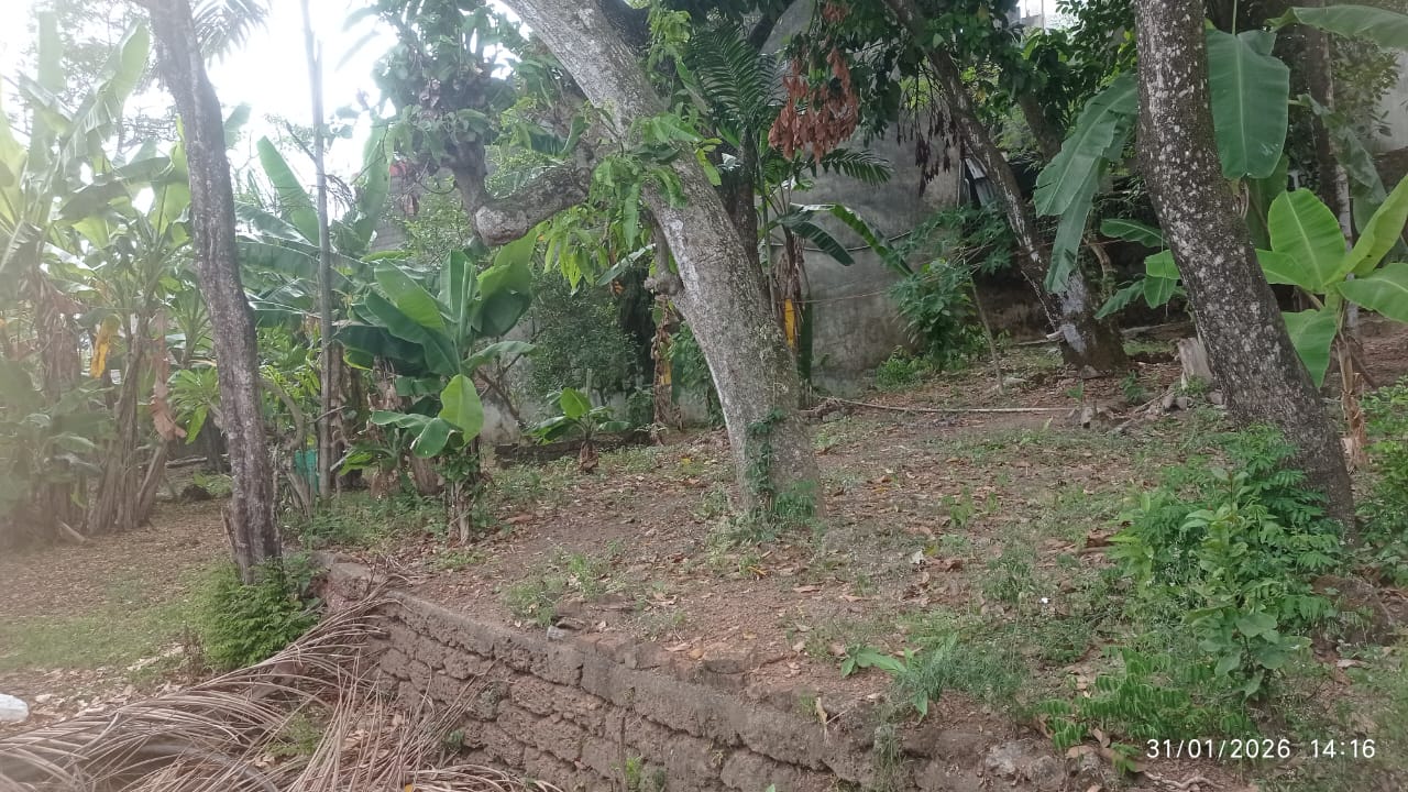 Land for Sale in Nawala