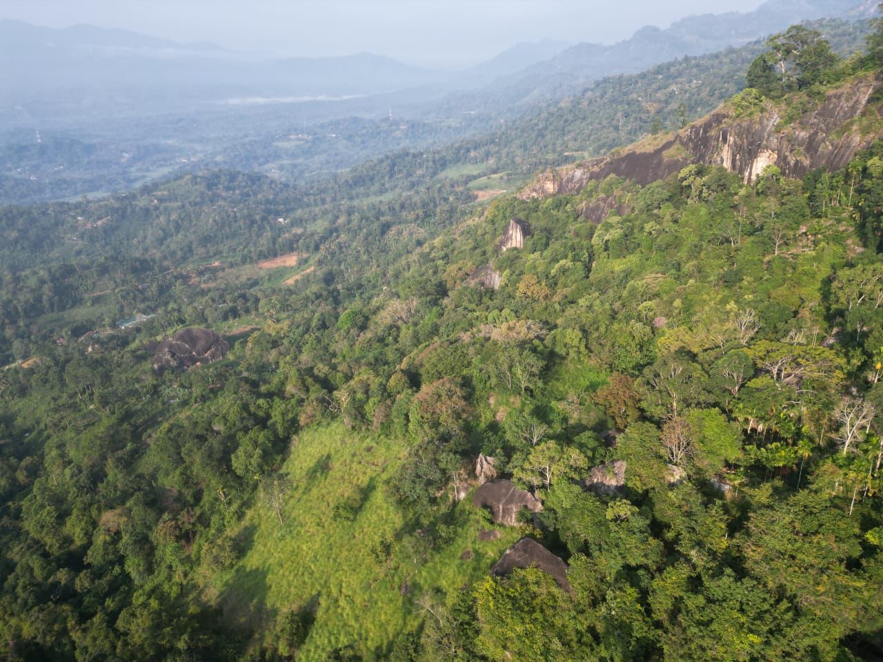 Forest land for sale In Balangoda