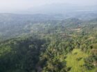 Forest land for sale In Balangoda