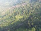 Forest land for sale In Balangoda