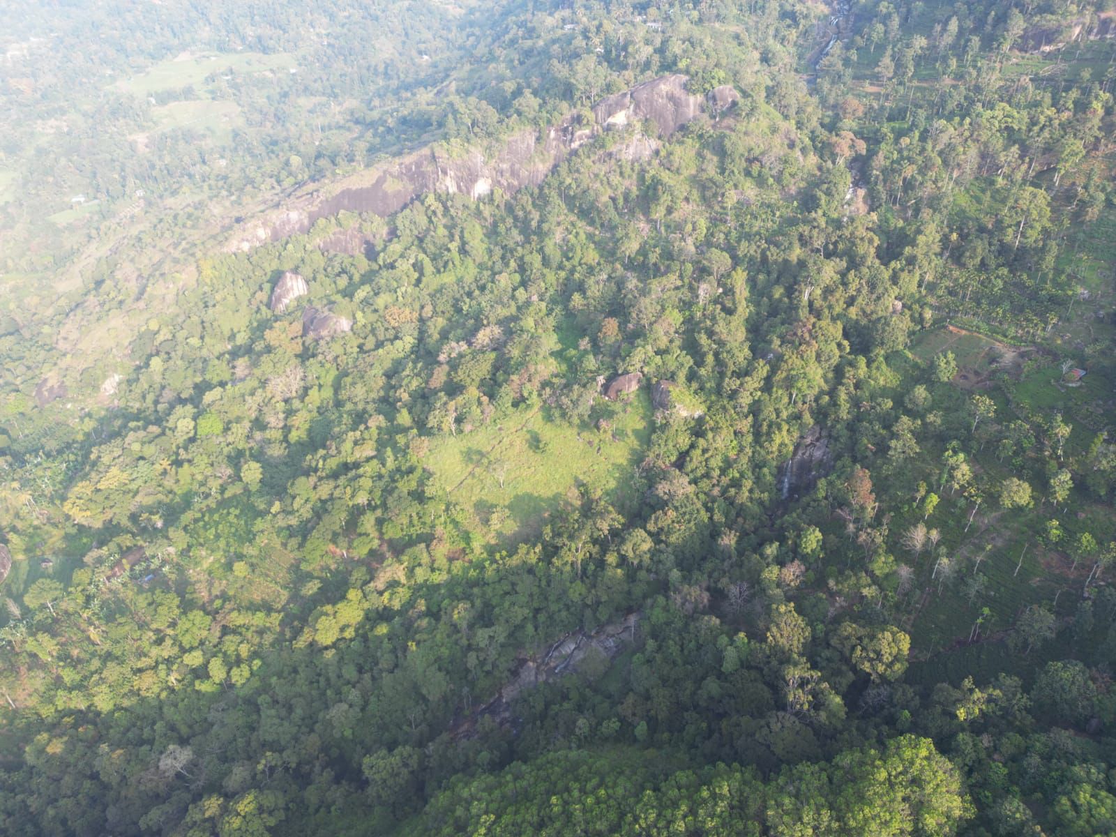 Forest land for sale In Balangoda