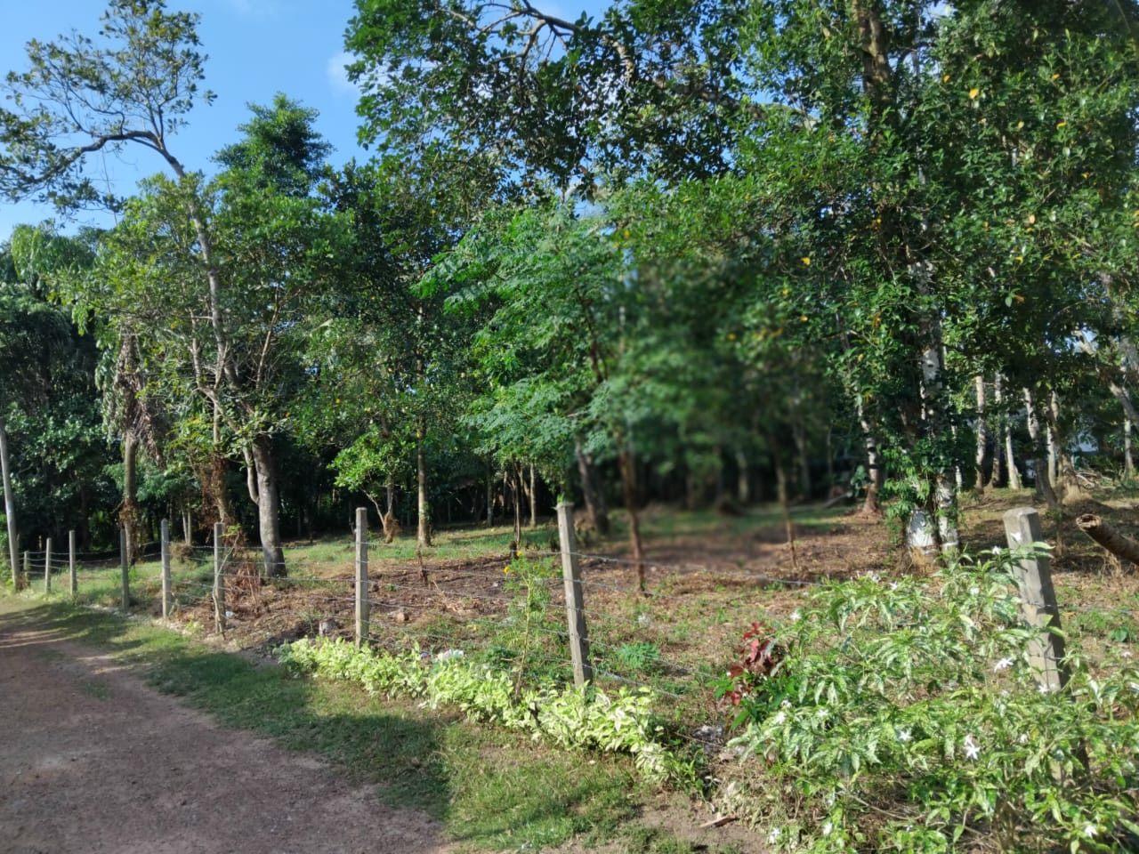 80-PERCH LAND FOR SALE IN DORANAGODA, GAMPAHA
