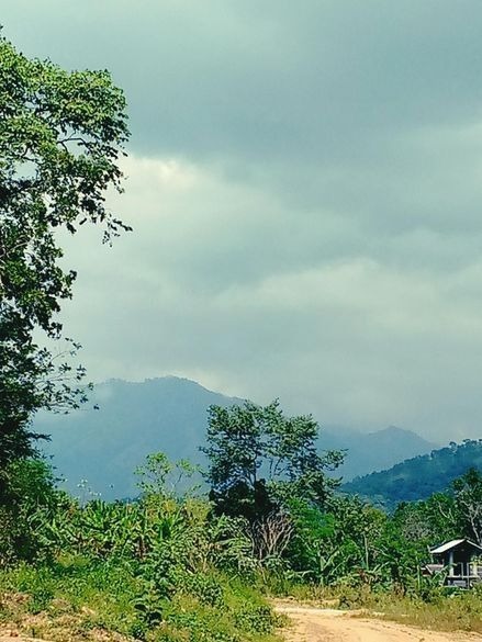 ඇල්ල වැල්ලවාය ආසන්නයෙන් වටිනා ඉඩමක්