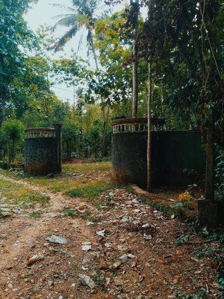 ඇල්ල වැල්ලවාය ආසන්නයෙන් වටිනා ඉඩමක්