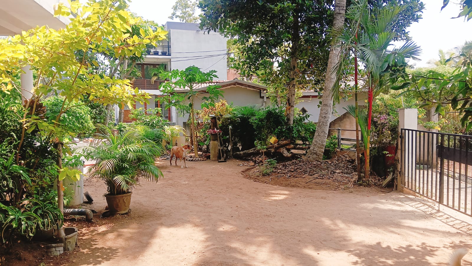 🏡 House for Sale – Galle Town