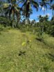 Land for Sale Horana