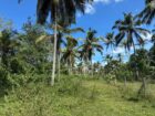 Land for Sale Horana
