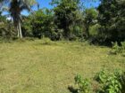 Land for Sale Horana