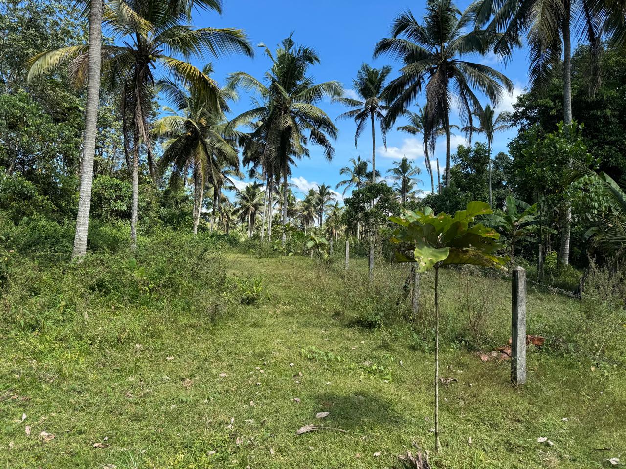 Land for Sale Horana