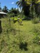 Land for Sale Horana