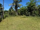 Land for Sale Horana