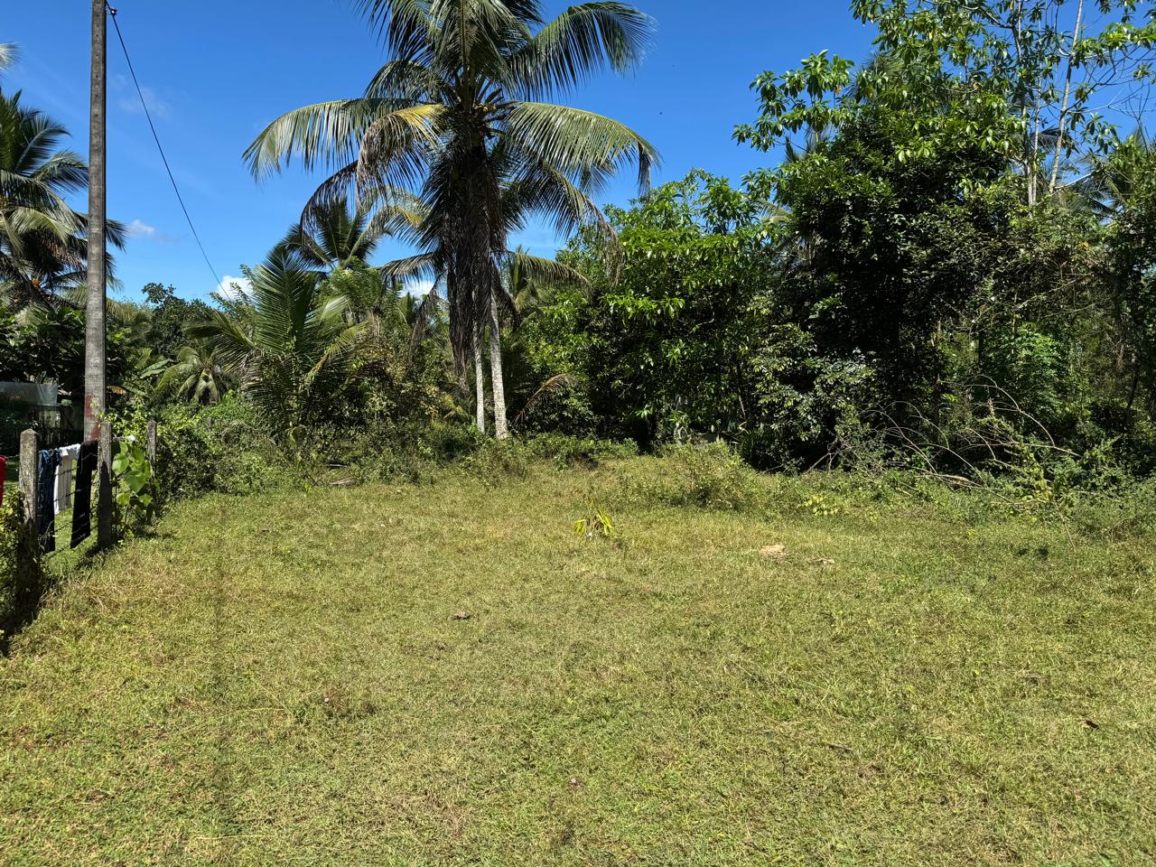 Land for Sale Horana