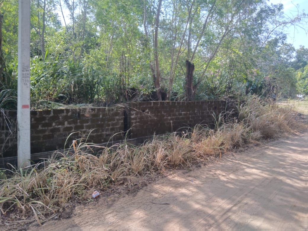 Saw Mill for Sale Wellawaya