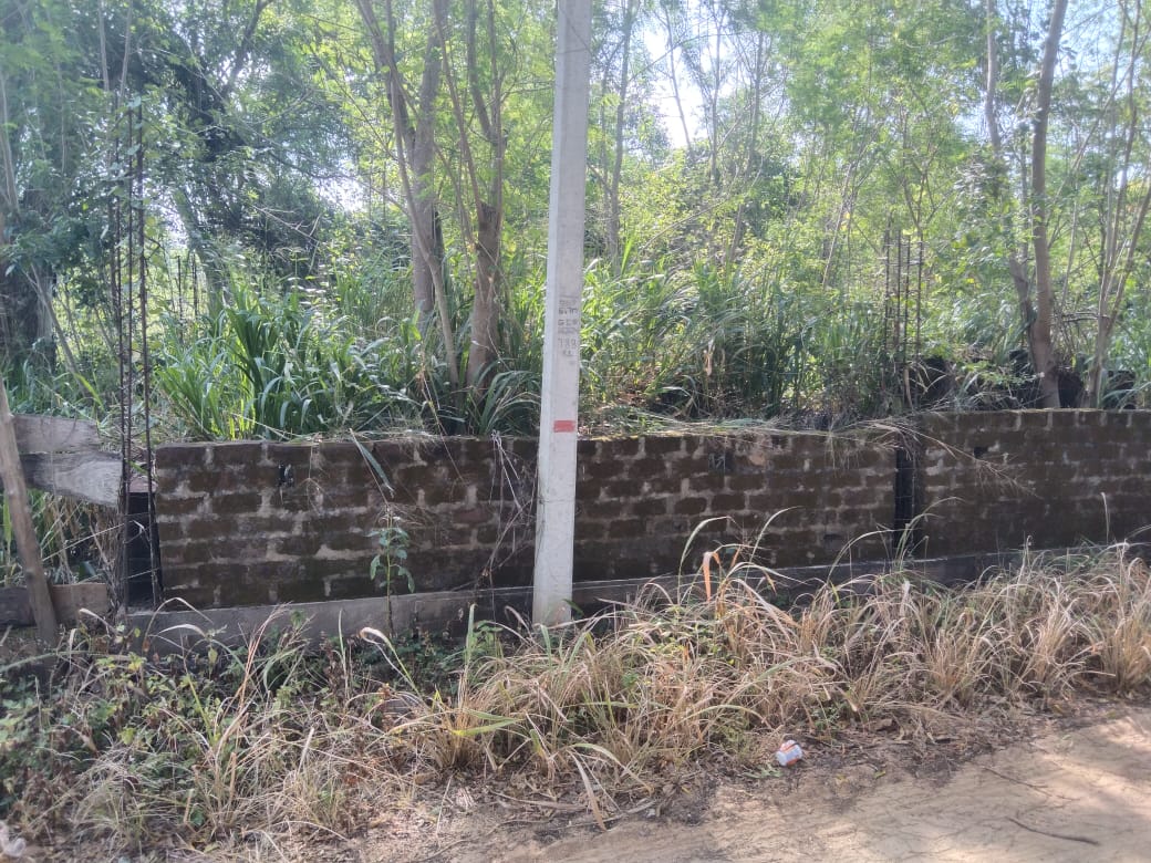 Saw Mill for Sale Wellawaya