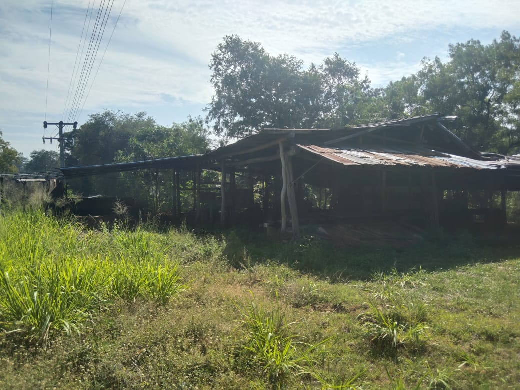 Saw Mill for Sale Wellawaya