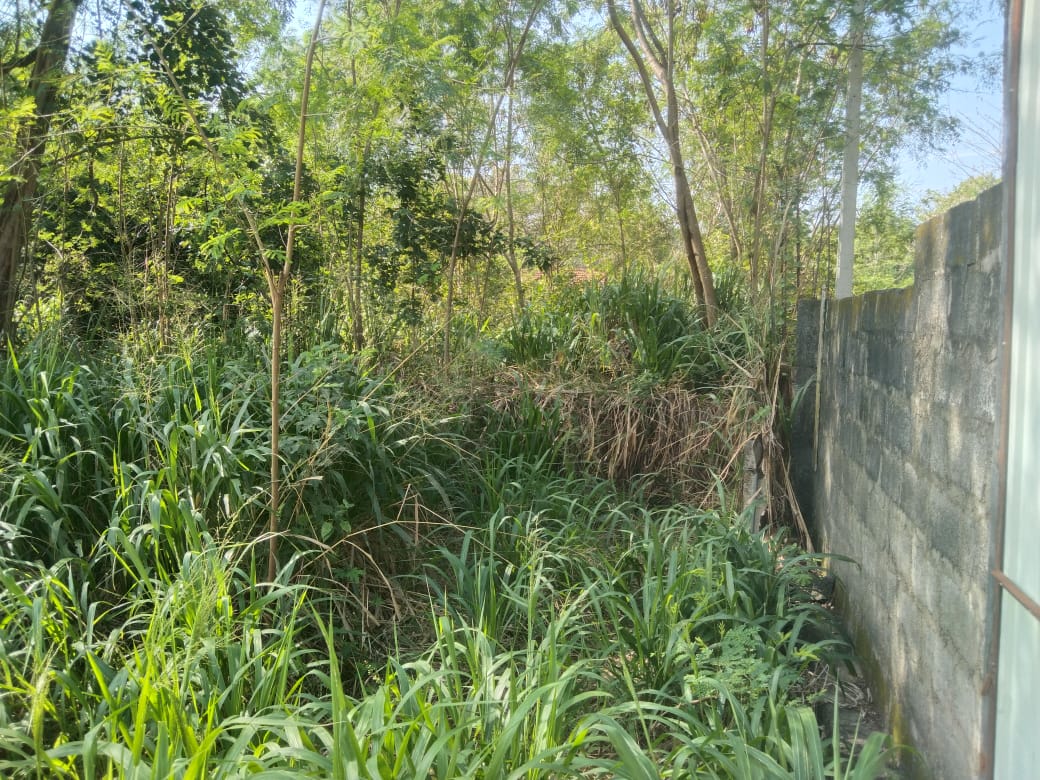 Saw Mill for Sale Wellawaya