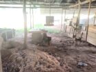 Saw Mill for Sale Wellawaya