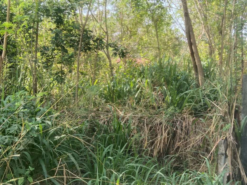 Saw Mill for Sale Wellawaya