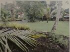 Land for Sale in Ja Ela (17.5 Perches)