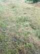 Land For Sale In Kurunegala