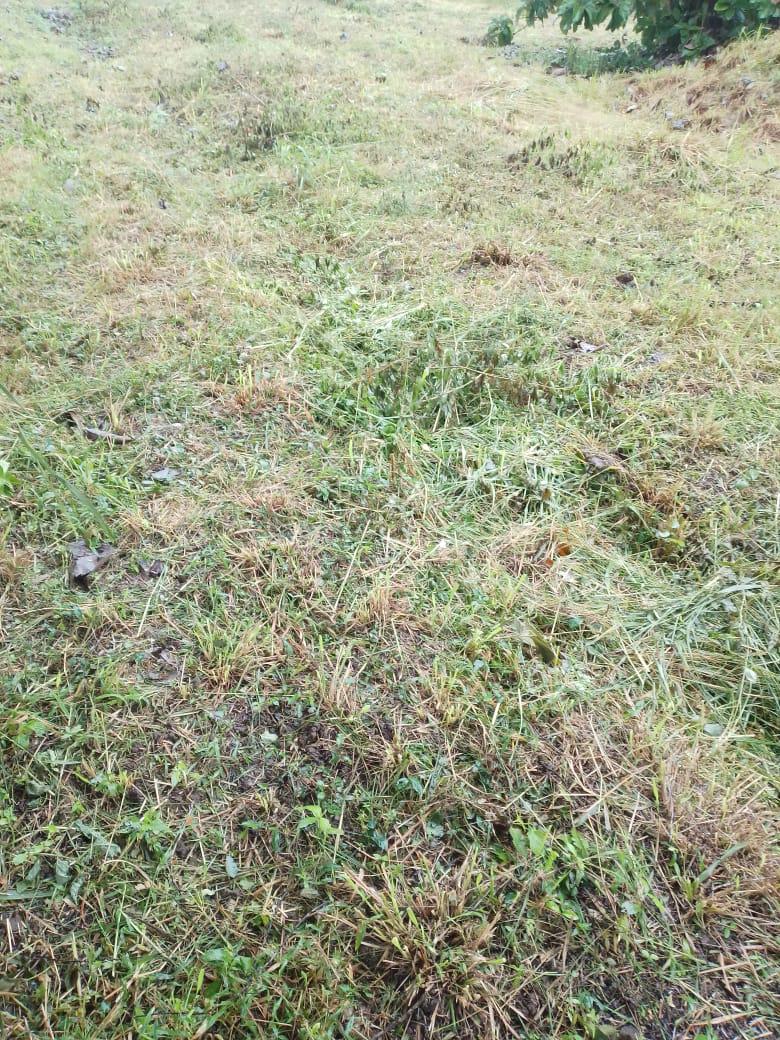 Land For Sale In Kurunegala