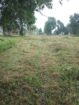 Land For Sale In Kurunegala