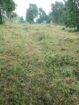 Land For Sale In Kurunegala