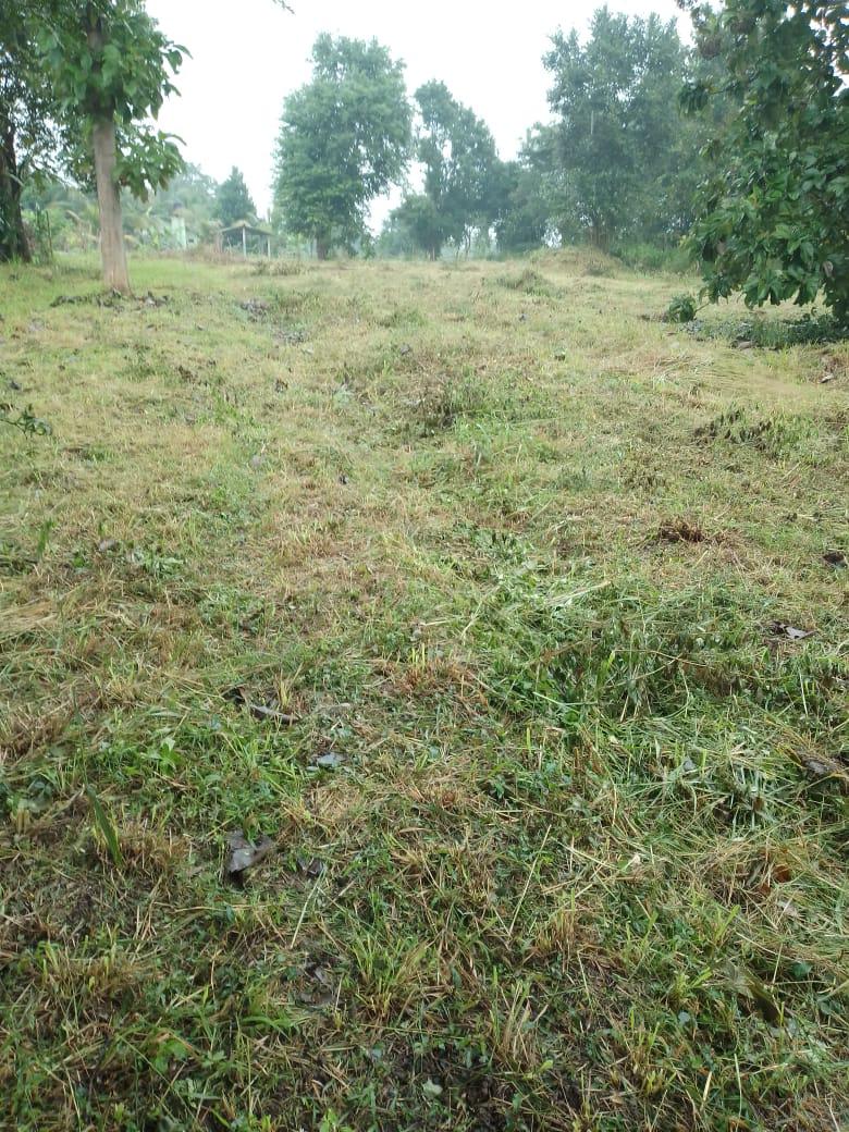 Land For Sale In Kurunegala