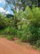Land with Shop for Sale Dambulla