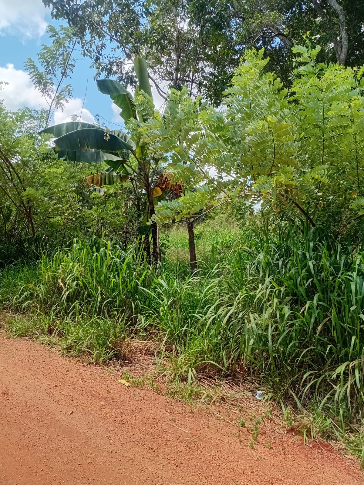 Land with Shop for Sale Dambulla