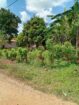 Land with Shop for Sale Dambulla