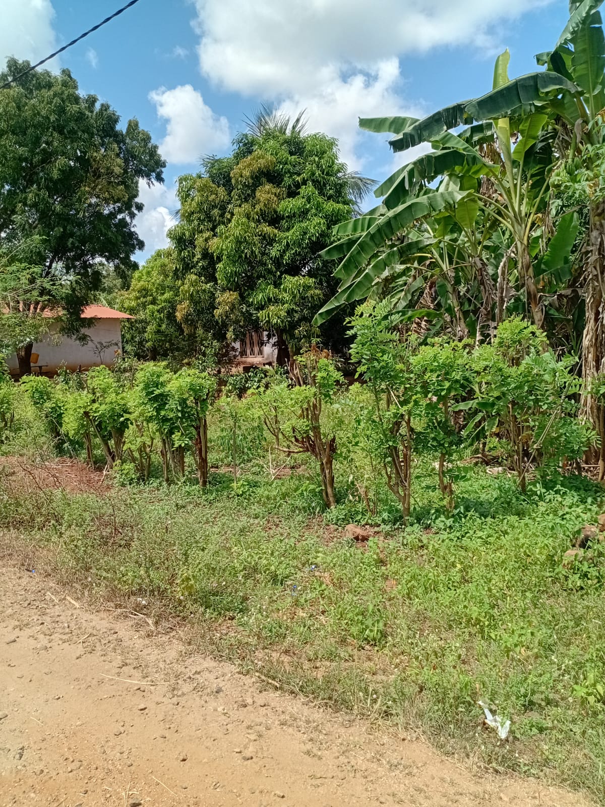 Land with Shop for Sale Dambulla