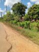 Land with Shop for Sale Dambulla
