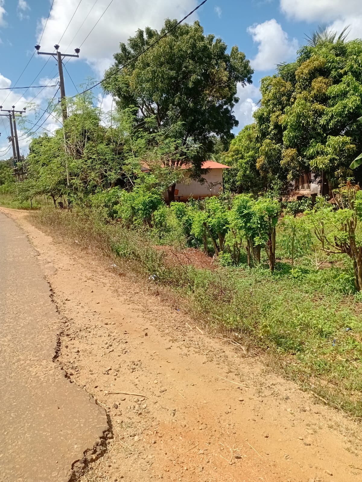 Land with Shop for Sale Dambulla