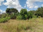 Land with Shop for Sale Dambulla