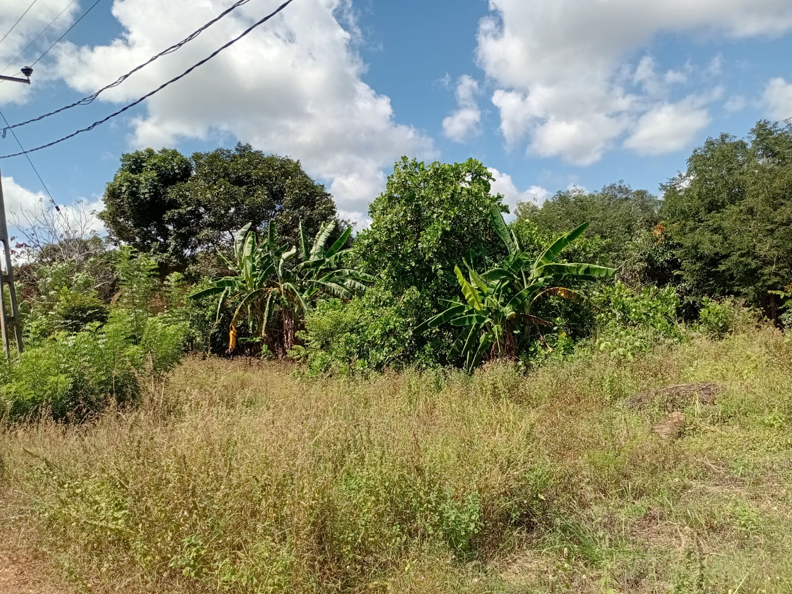 Land with Shop for Sale Dambulla