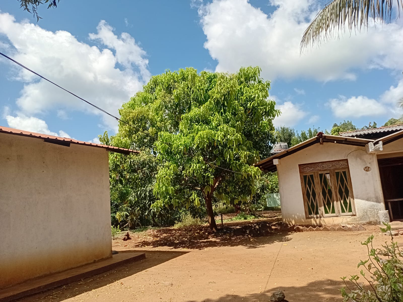 Land with Shop for Sale Dambulla